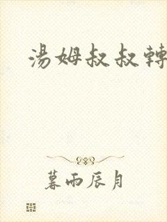 汤姆叔叔转接口