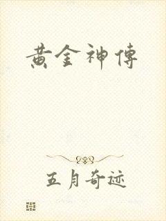 黄金神传封面