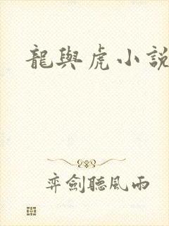 龙与虎小说封面