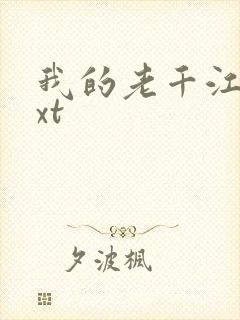 我的老千江湖txt