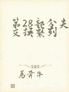 第28部分夫妇交换系列