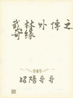 武林外传之同福奇缘