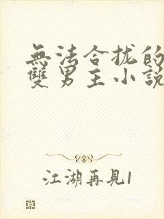 无法合拢的总裁双男主小说封面