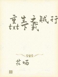 重生之贼行天下txt下载封面