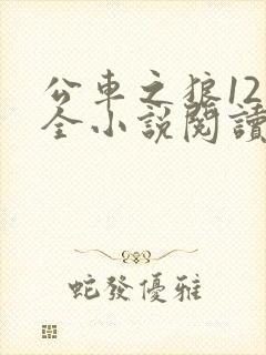 公车之狼12集全小说阅读封面