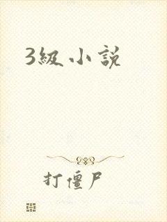 3级小说