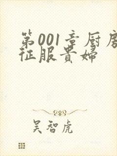 第001章厨房征服贵妇