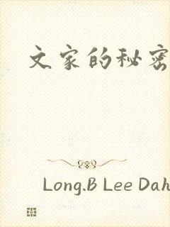 文家的秘密封面
