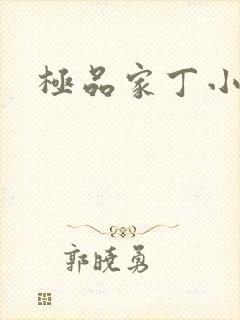极品家丁小说