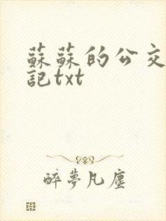 苏苏的公交车日记txt封面