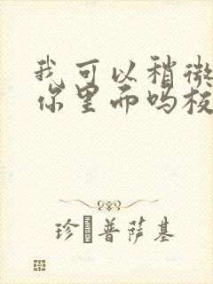 我可以稍微放进你里面吗校园版