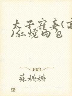 太子宠妾(高肉)红烧肉包封面