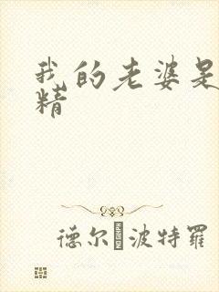 我的老婆是狐狸精