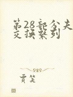 第28部分夫妇交换系列