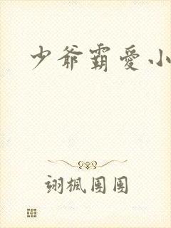 少爷霸爱小丫头