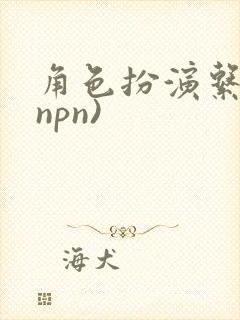 角色扮演系统(npn)