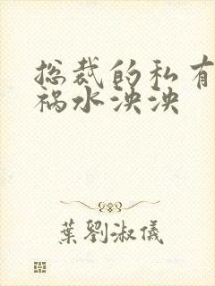 总裁的私有宝贝祸水泱泱