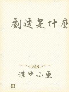 剧透是什么意思