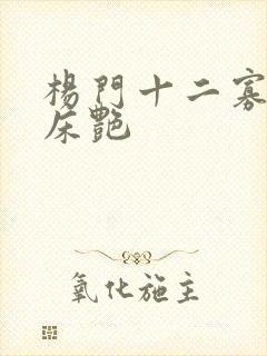 杨门十二寡妇肉床艳