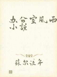办公室风雨完整小说