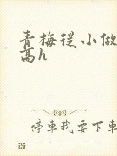 青梅从小做到大高h