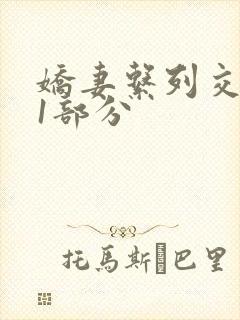 娇妻系列交换11部分