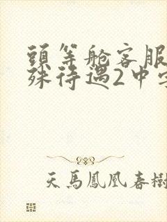 头等舱客服的特殊待遇2中字