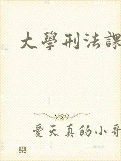 大学刑法课