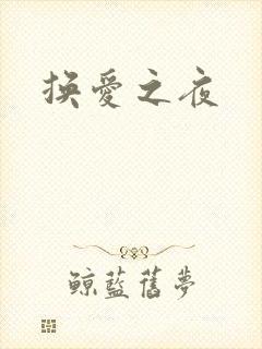 换爱之夜封面