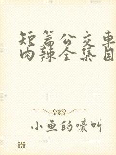 短篇公交车高h肉辣全集目录