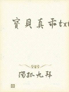 宝贝真乖txt封面