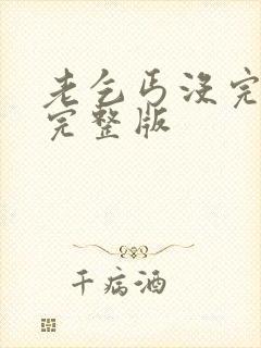 老乞丐没完没了完整版