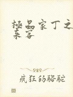 极品家丁之远方来客