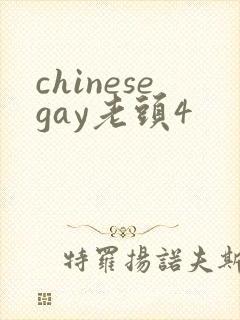 chinesegay老头4