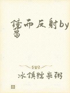 镜面反射by九葛