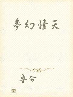 梦幻情天封面