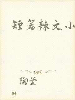 短篇辣文小说