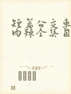 短篇公交车高h肉辣全集目录