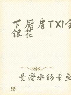 下厨房TXl金银花