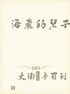 海岩的儿子封面