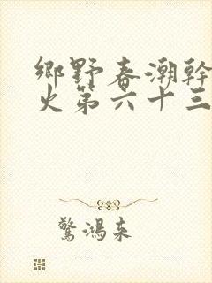 乡野春潮干柴烈火第六十三章