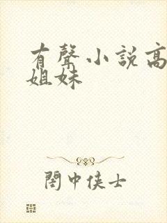 有声小说高树三姐妹封面