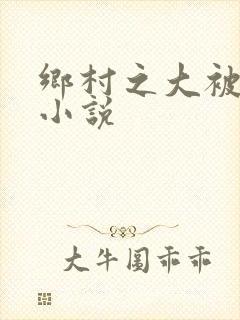 乡村之大被同眠小说封面