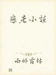 恋老小说