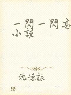 一闪一闪亮星星小说