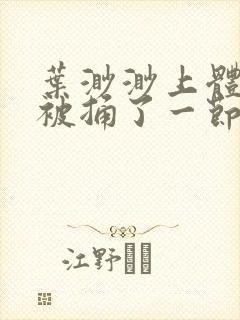 叶渺渺上体育课被捅了一节课封面