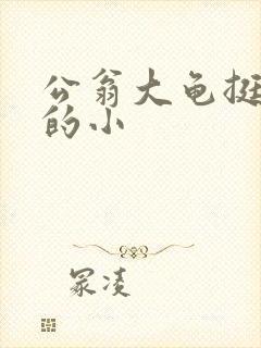 公翁大龟挺进我的小