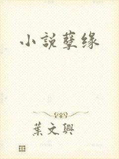 小说孽缘