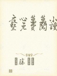 夜心万万小说完整免费阅读全文