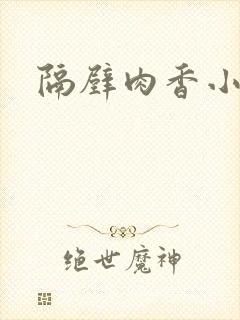 隔壁肉香小说